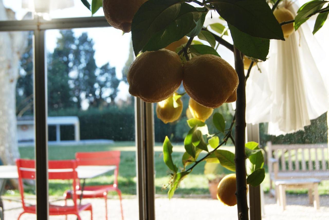 Bed and Breakfast La Ferme De Gigognan Awinion Zewnętrze zdjęcie